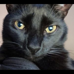 Meet your Posher, Brady